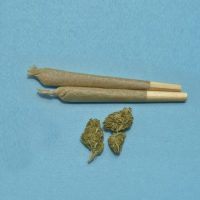 maconha
